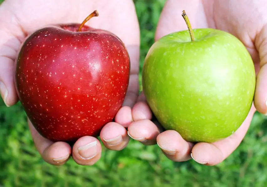 A green apple next to a red apple