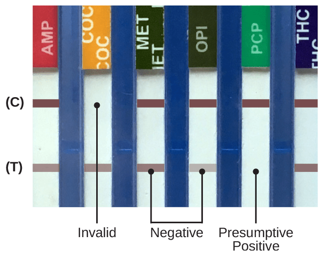 OralTox oral fluid drug test result interpretation guide