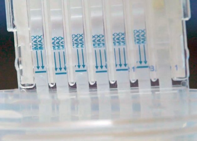Premier Bio-Dip urine drug test with labeled components