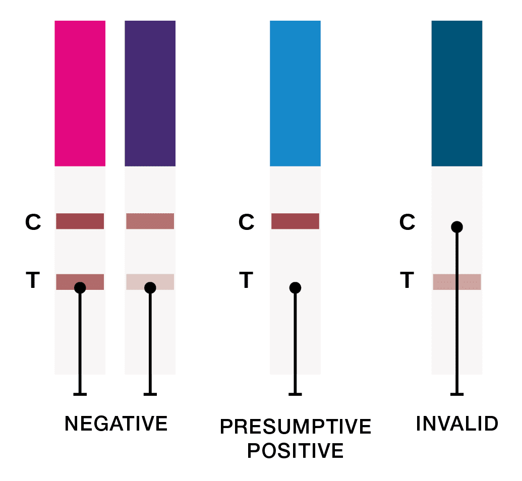 Premier Bio-Cup drug test results interpretation key