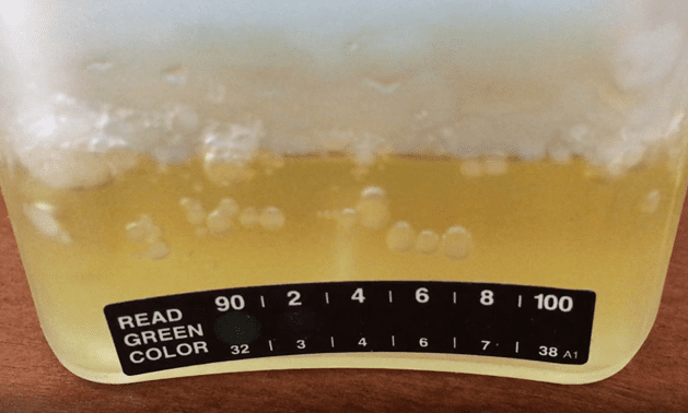 Temperature strip on urine drug test cup
